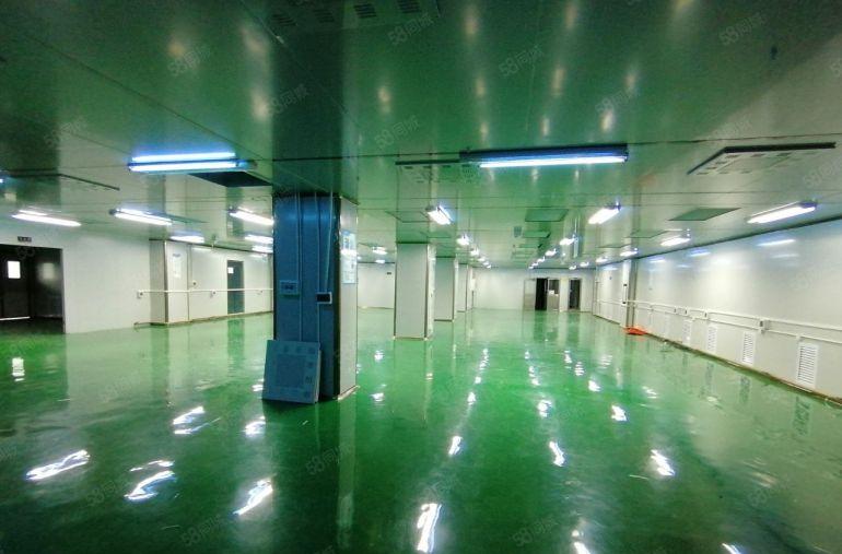 仲恺2000平方精装修厂房出租，可分租