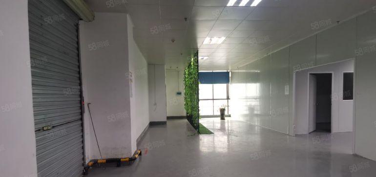 陈江原房东红本标准厂房出租