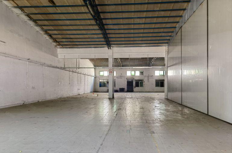 16元出租西坑工业区1000平方8米高钢构厂房仓库