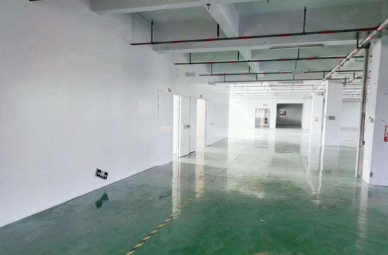 仲恺陈江，厂房仓库2000平低价11块出租，现成装修可分租。