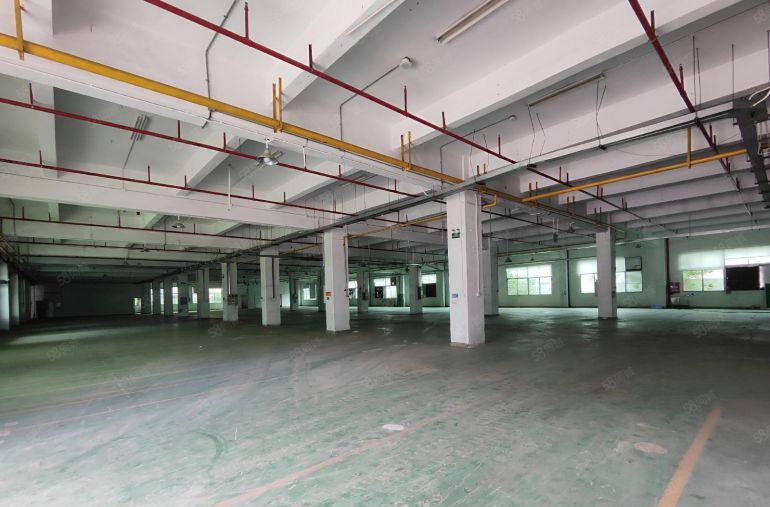 龙岗花园式独门独院4栋厂房2栋宿舍出租，可按层分租。