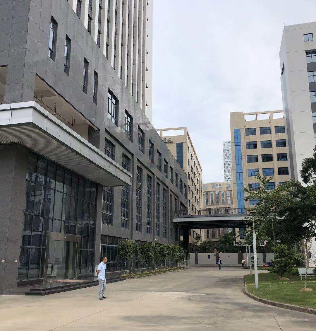 嶂背市场边原房东工业园新空出2楼1000平方带精装修厂房出租