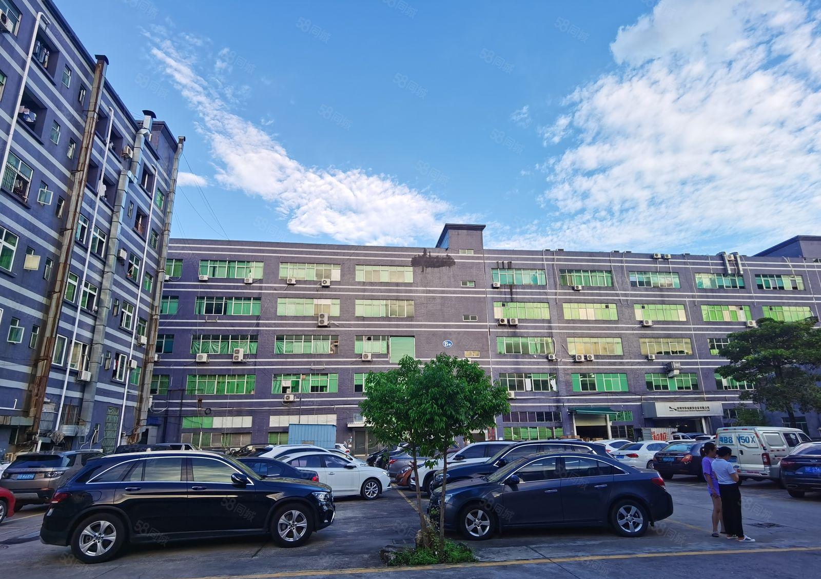 300平起分租！带装修！大小面积可分！龙东工业区厂房仓库出租