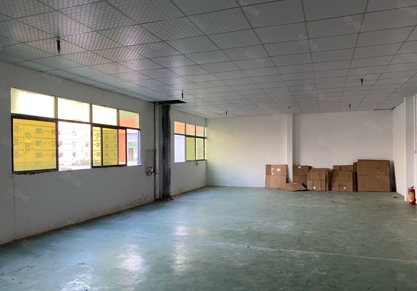 坪地坪西市场旁，小面积厂房200平，330平，420平出租