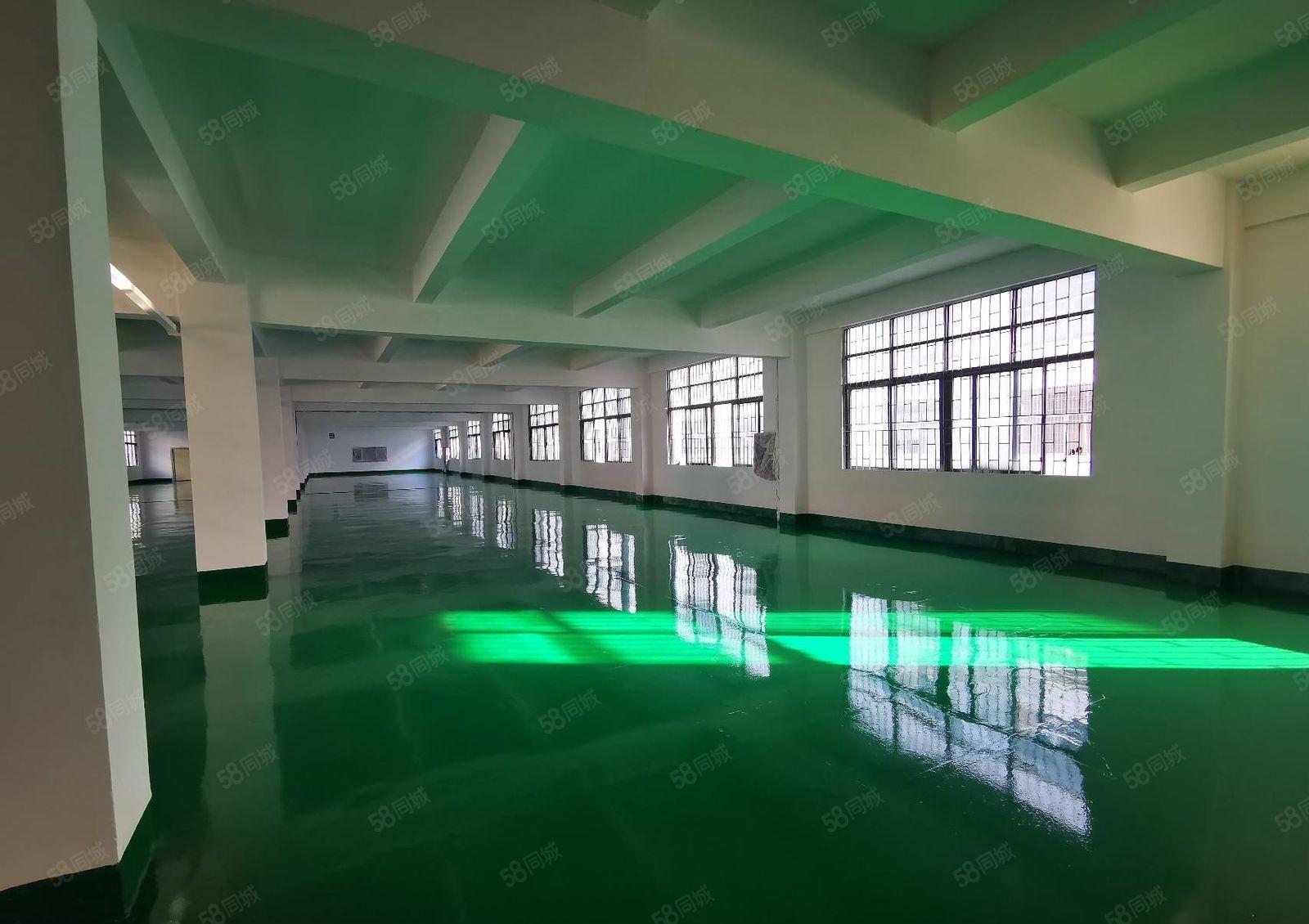 龙岗宝龙原房东红本9000平精装修独栋厂房出租，形象好空地大