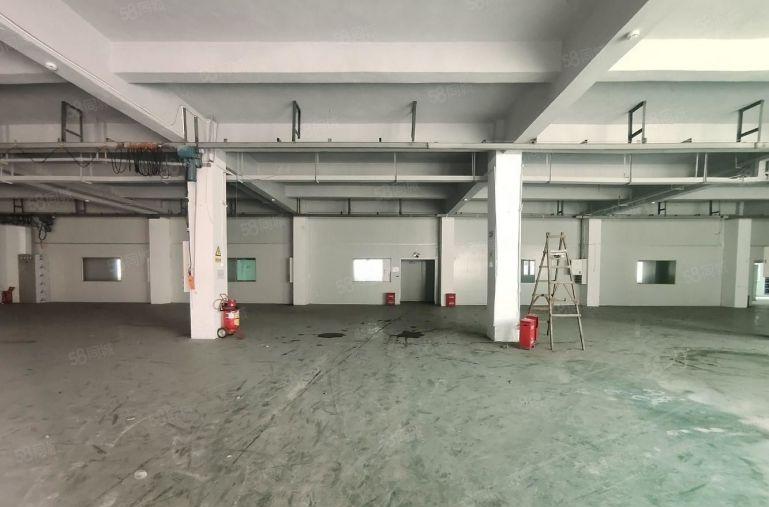 原房东无公摊！龙岗宝龙一楼新出2千平厂房仓库出租5百平起分租