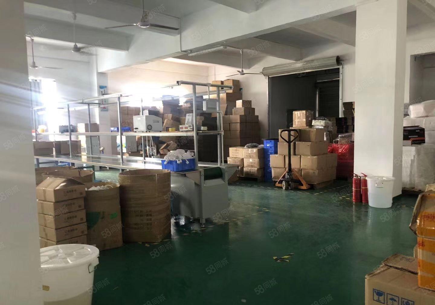 龙岗龙西新出一楼带地坪漆1600平厂房仓库重工业出租