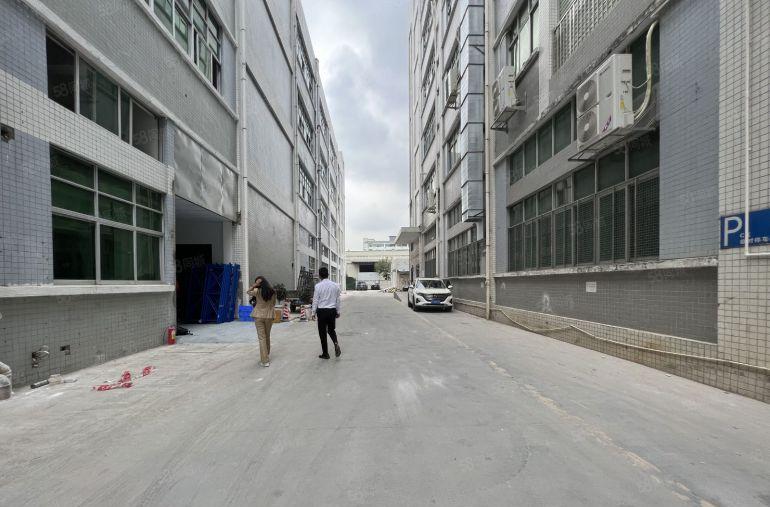 平湖原房东一楼厂房1380平方仓库出租带红本现成办公室地坪漆