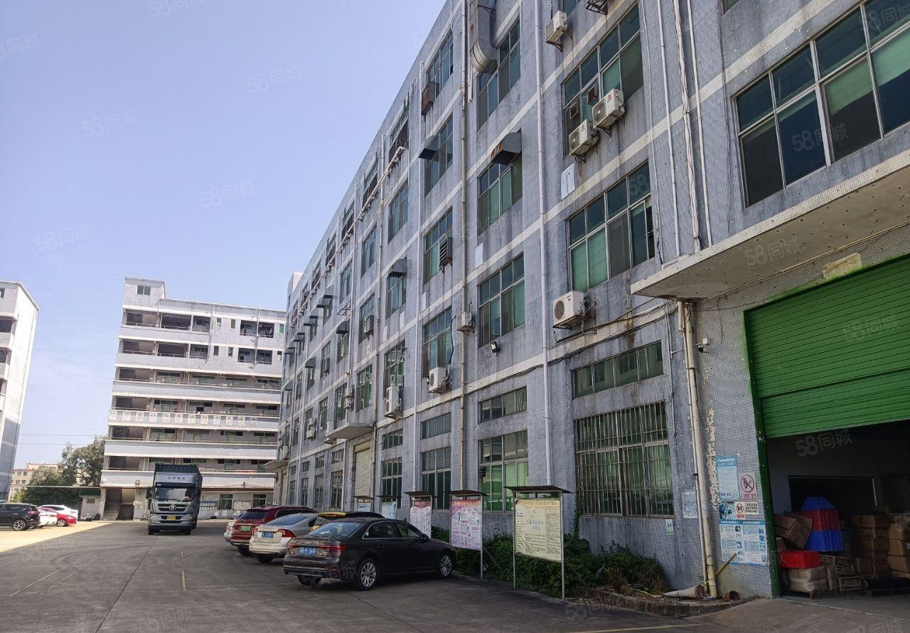 坪地中心村原房东独院厂房13000平方带精装修厂房出租可分租