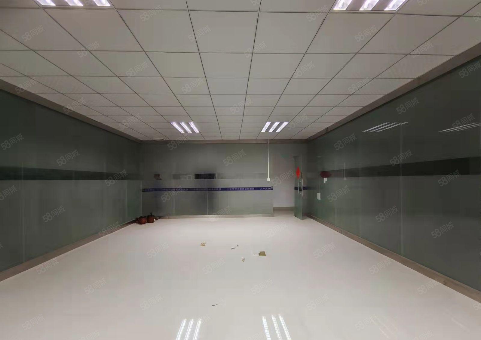 坂田阪李大道新出整层厂房1300平招租，带装修面积实在