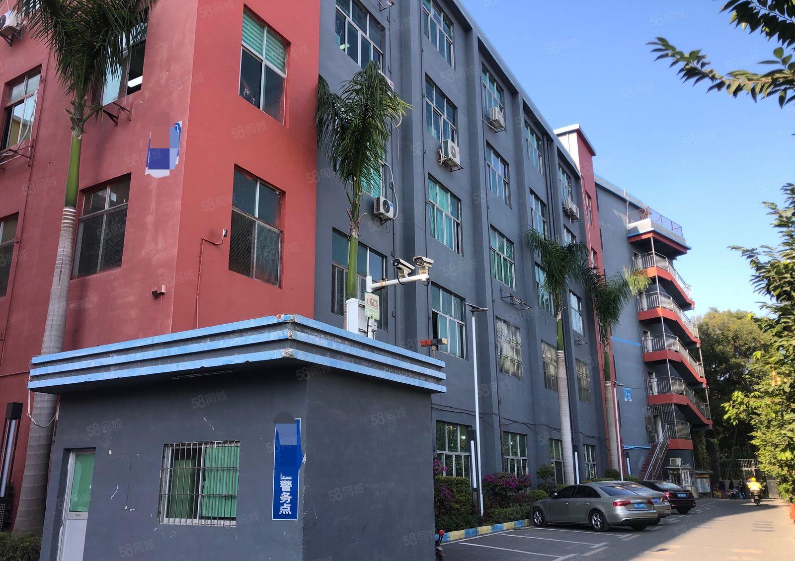 横岗地铁口电商园新出房源280平精装办公仓库招租