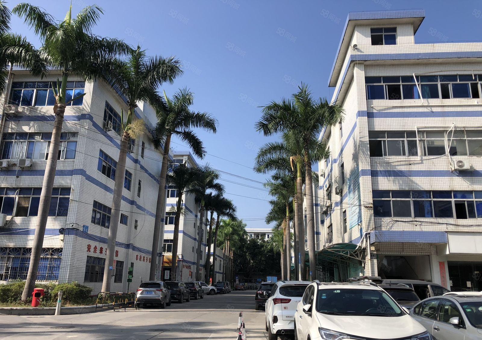 南联科技园新出一楼600平方带红本喷淋厂房出租，可分租