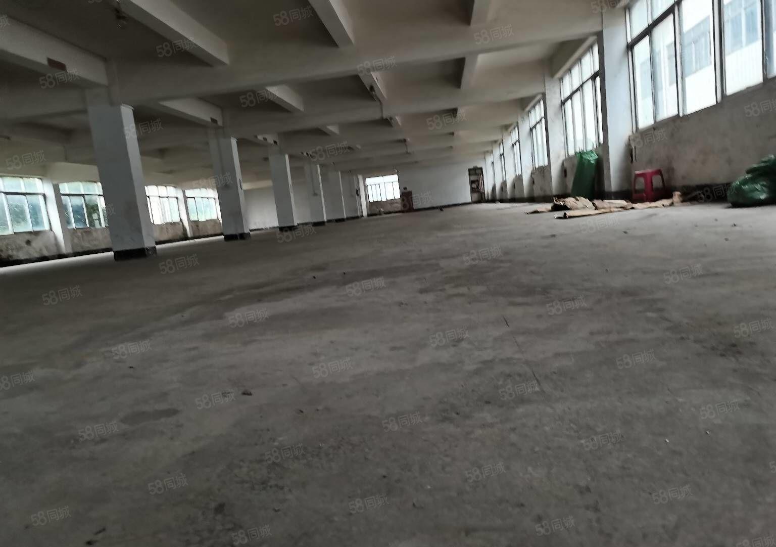 200起租深圳龙岗原房东独门独院一楼厂房交通便利大小分租