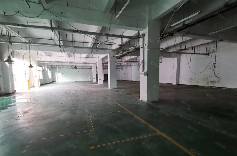 龙岗南联新出原房东独院7200平带装修厂房出租可分租一楼6米