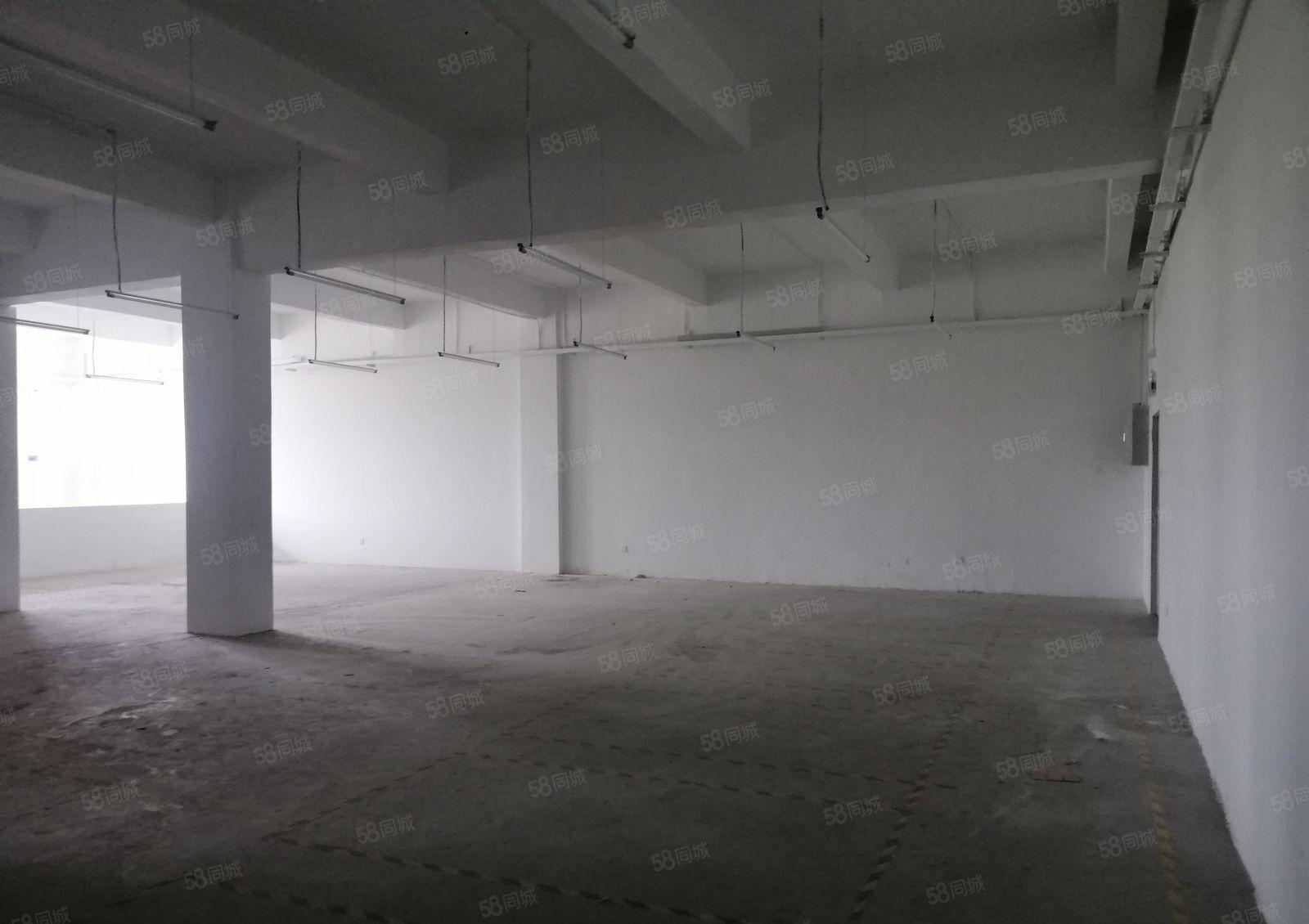 南联村委厂房 单层2000平米 可以分租 300平米起租