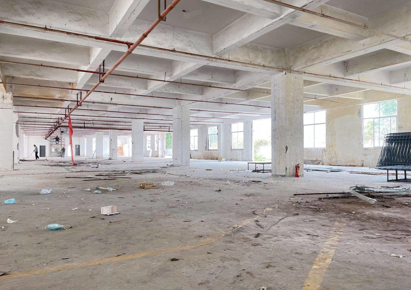 坂田雪象工业园厂房仓库单层2600平米大小分租出租