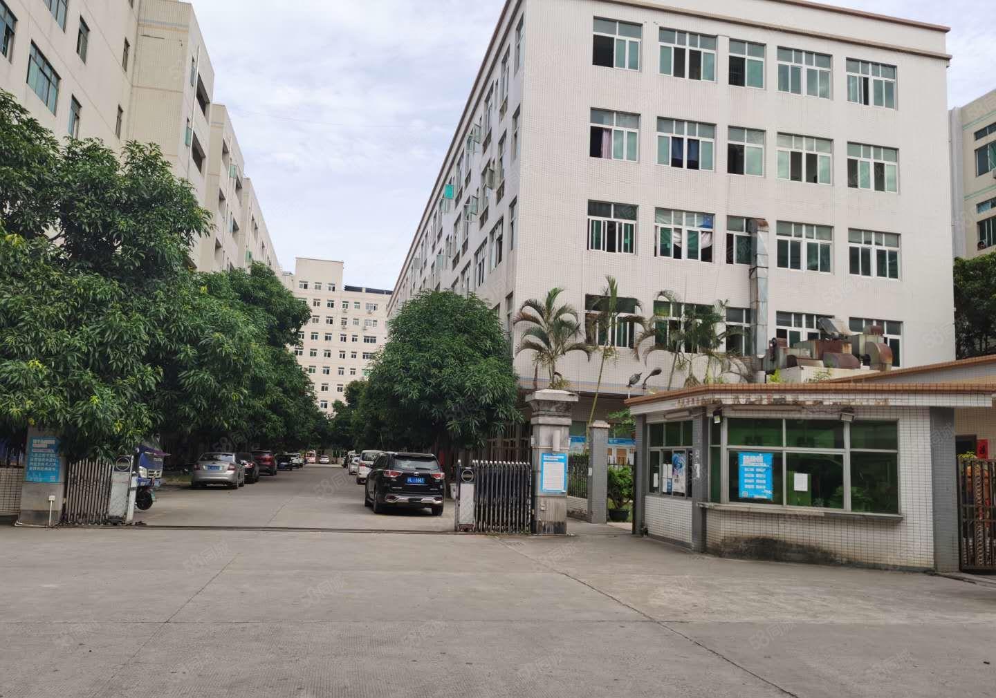 华南城厂房仓库500平1000平2000平独门独院28起租
