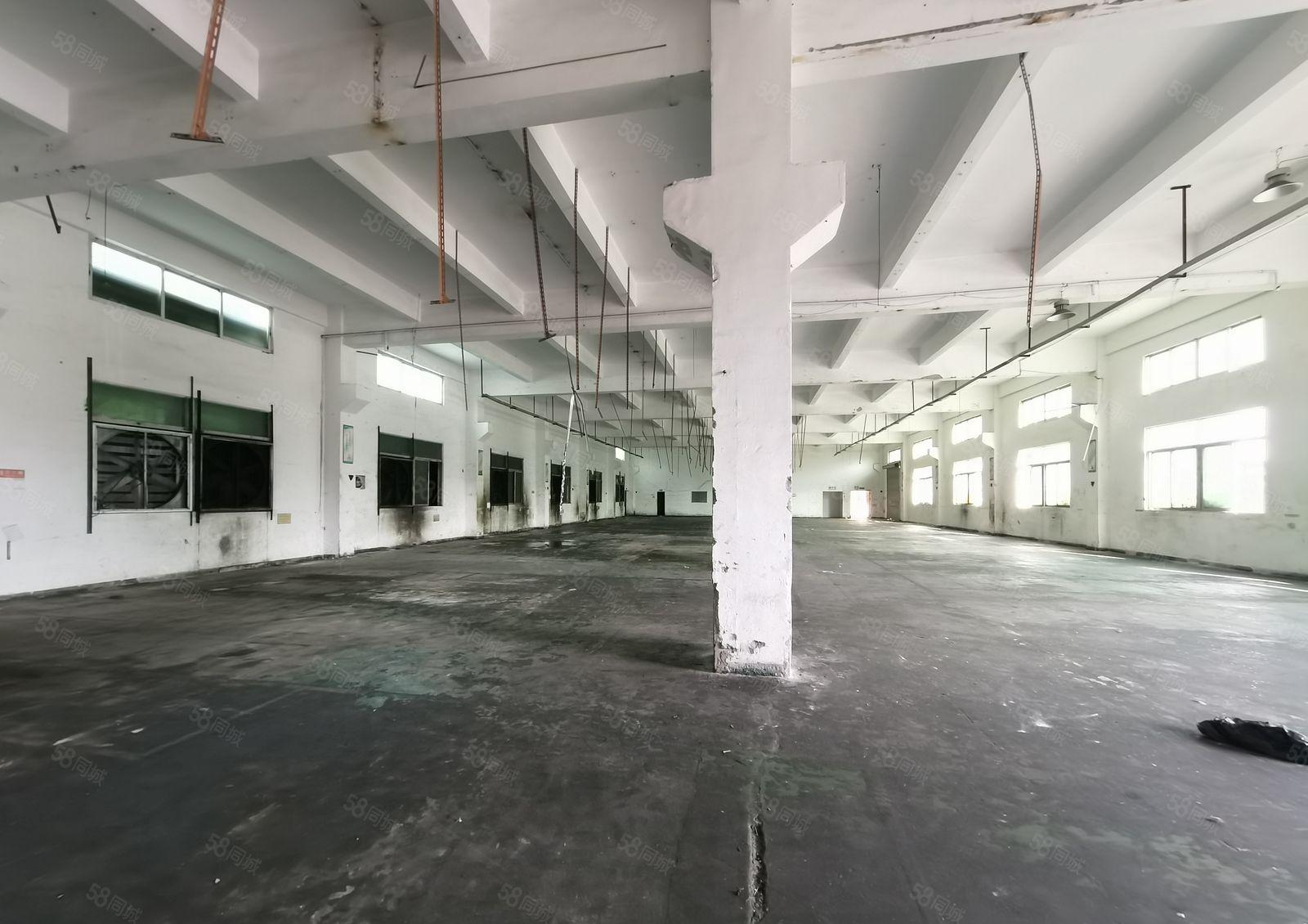 龙岗爱联独门独院厂房5400平加1500平宿舍