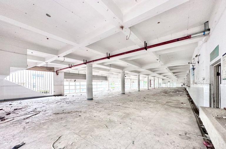 横岗新能源产业园小独栋三层5567平月子中心会所展厅厂房出租