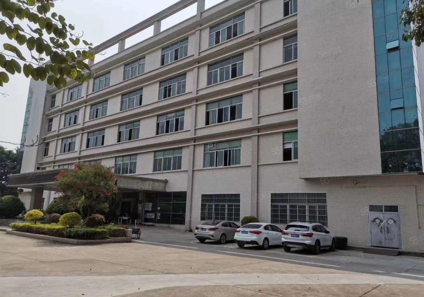 S龙岗中心城独院一楼1000二楼1000平方，可以任意分租