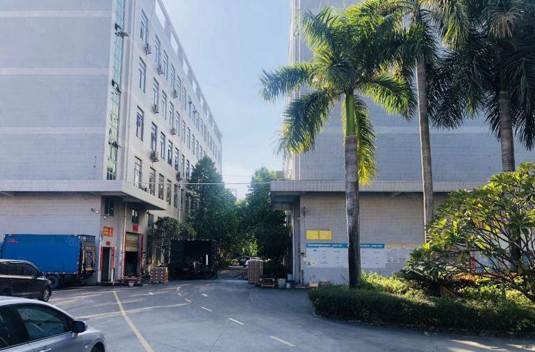 龙岗南联原房东科技园楼上1000平带装修前台办公室厂房出租