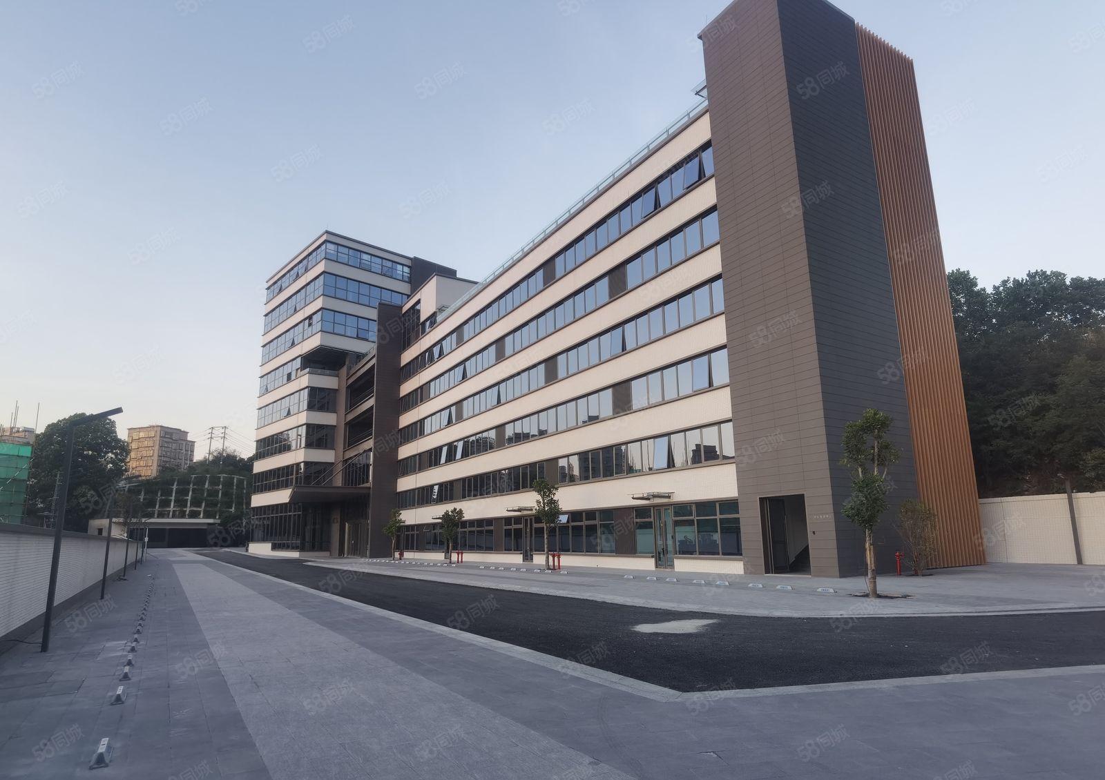 坂田原房东带红本厂房出租60000平