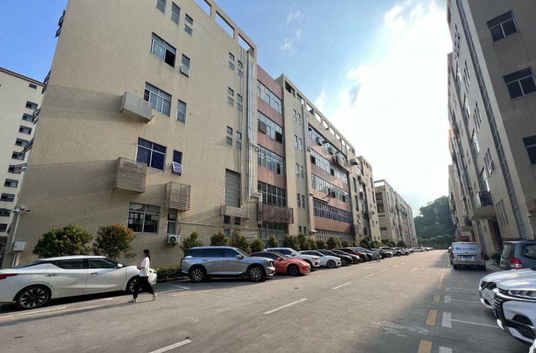 原房东，布吉整层1500平精装修厂房出租，不限行业