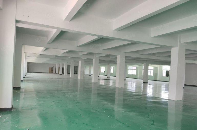 坂田工业区2000平方厂房仓库出租 超高使用率500平起租