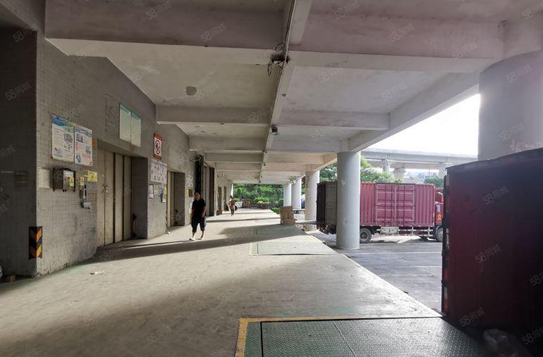 坂田大型物流园整层2600平5吨货梯超大空地卸货平台大小可分