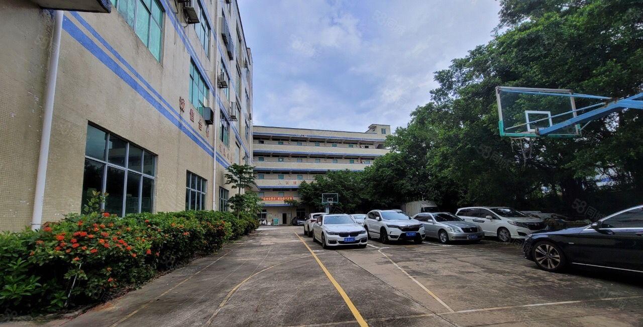 500平方龙岗坪地低价精装修标准厂房出租！