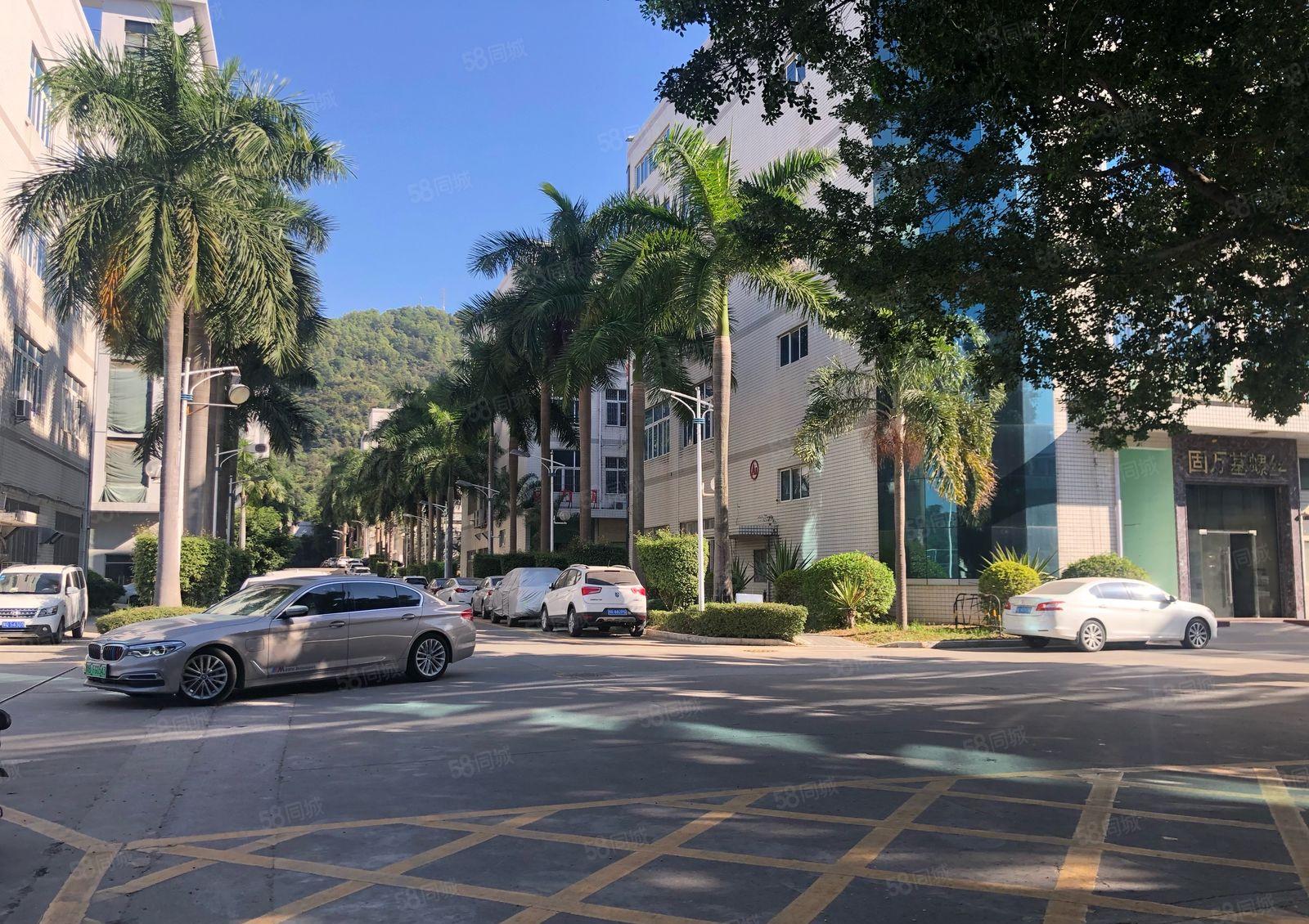 横岗地铁口龙岗大道边上空出原房东一楼1000平方