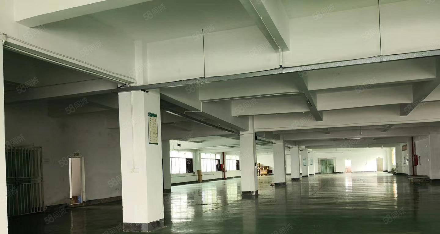 坪地坪西一楼分租500平米厂房出租总面积2000平米