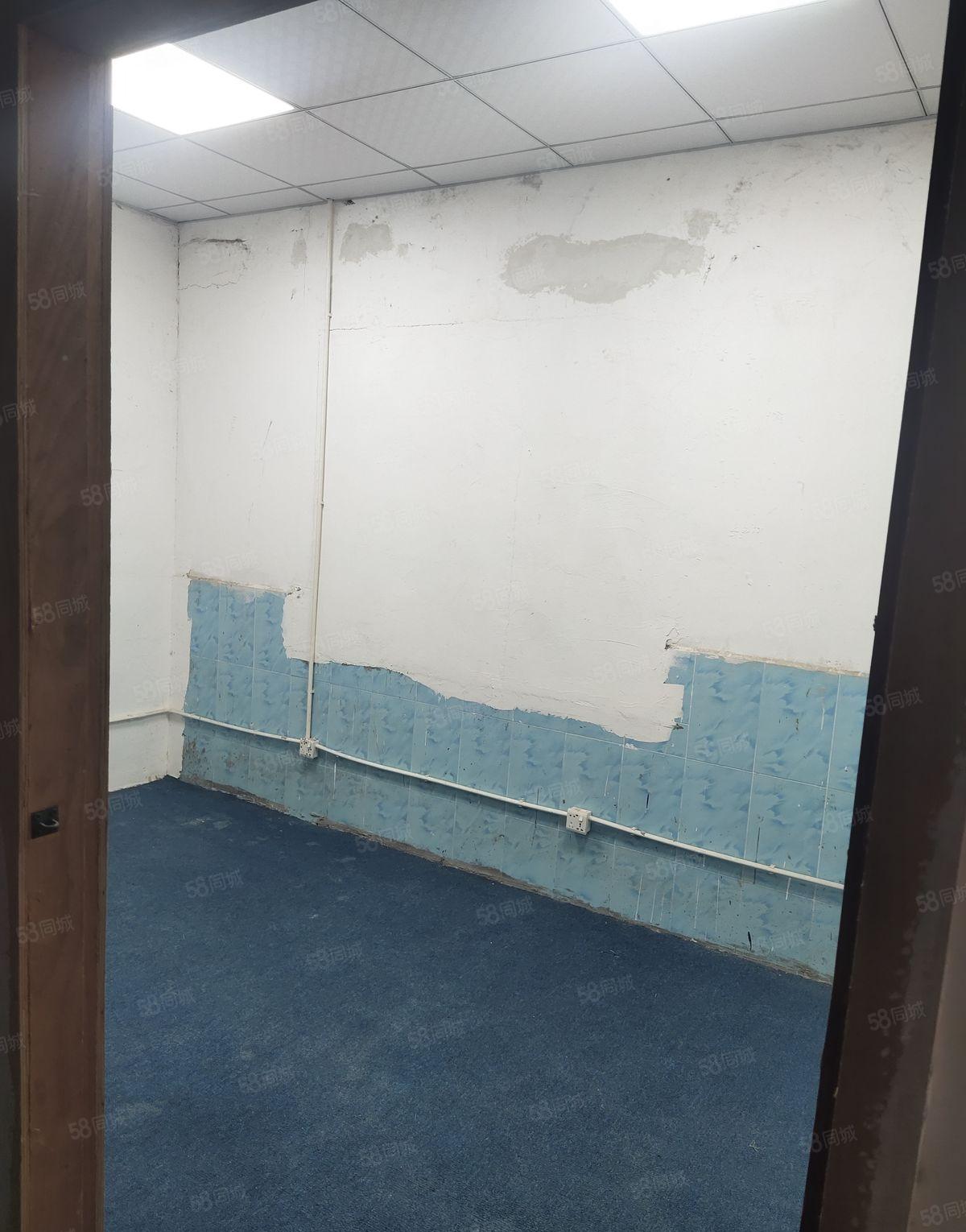 龙岗中心城爱联精装修厂房94平方169平方263平方出租