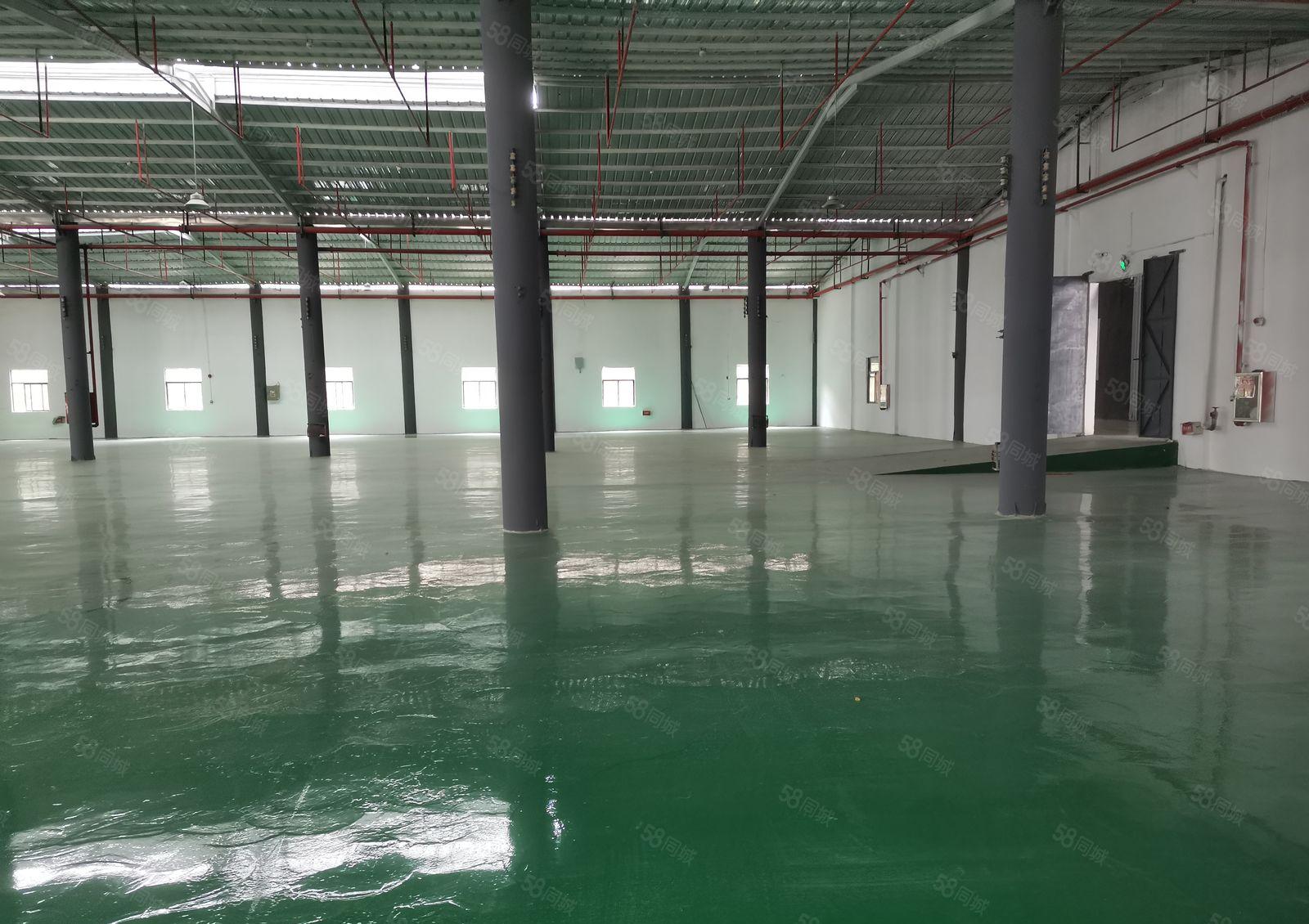 坪地富地工业园区原房东红本钢结构5000平方！滴水8米可分租