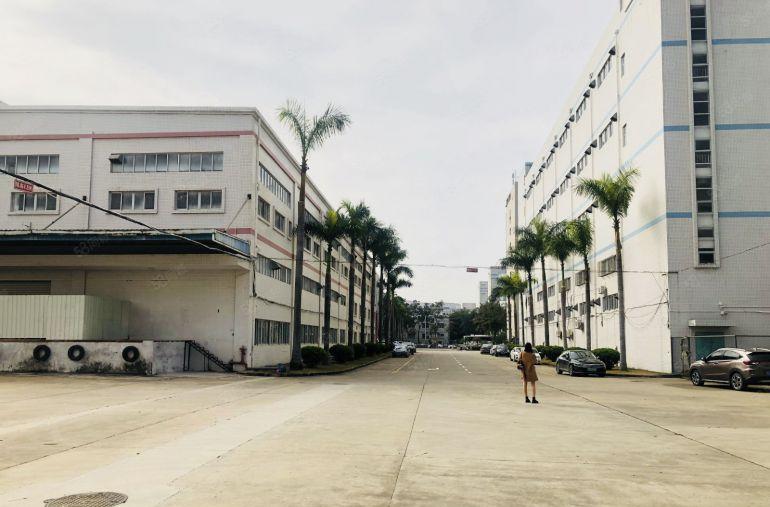 层高6米带货台横岗六约地铁站1楼1000平方厂房仓库出租