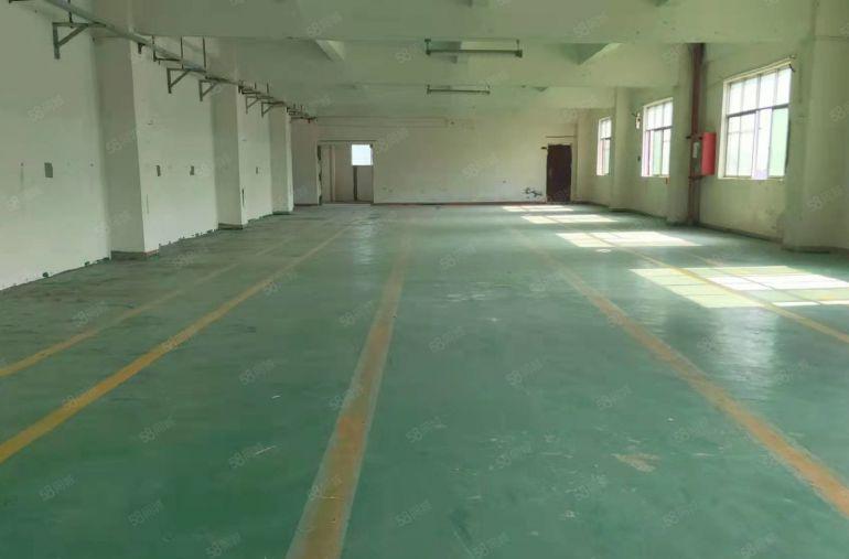 横岗新出298平厂房，层高5米，能进大货柜