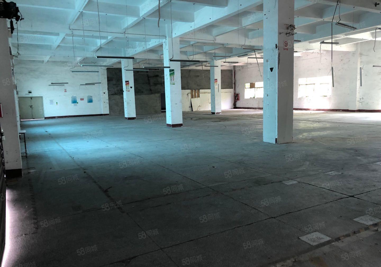 龙岗坂田上雪附近新出1500平一楼厂房出租