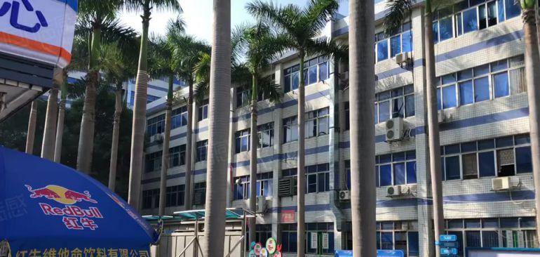 笋盘原房东带红本南联科技园新出300平精装修办公仓库厂房出租