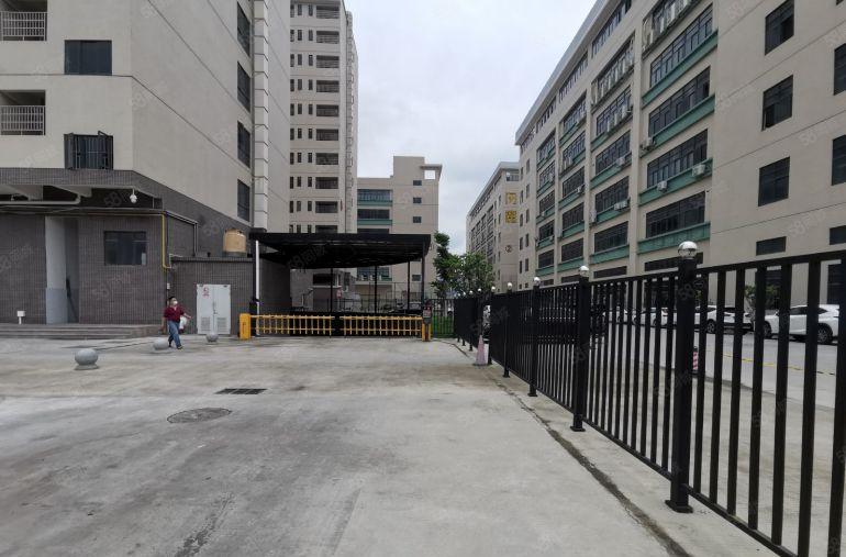 100平起龙岗坪地5000平高薪工园区带装修办公仓库厂房出租