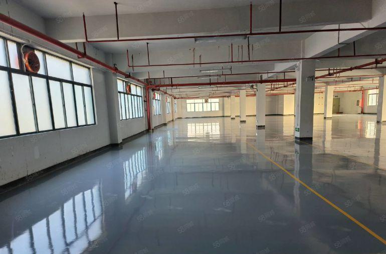 可签10年！独院个人红本低价厂房出租原房东可分层出租仓库出租