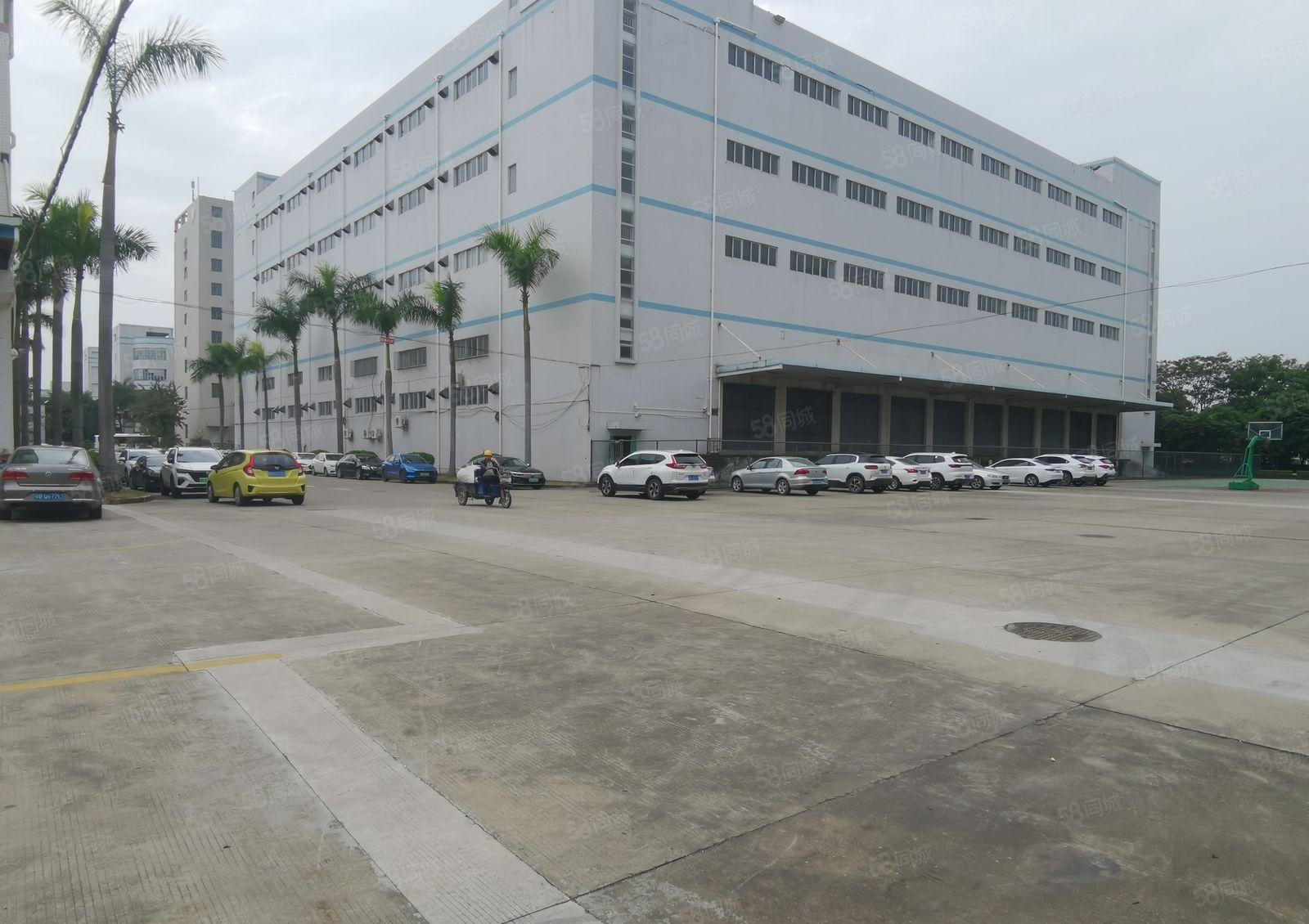 龙岗南联新出原房东一楼4000平可做物流仓库和生产报价30元