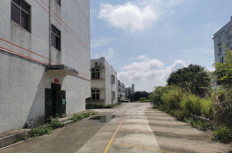 横岗地铁站附近新空出独门独院厂房5.2万平左右大小分租