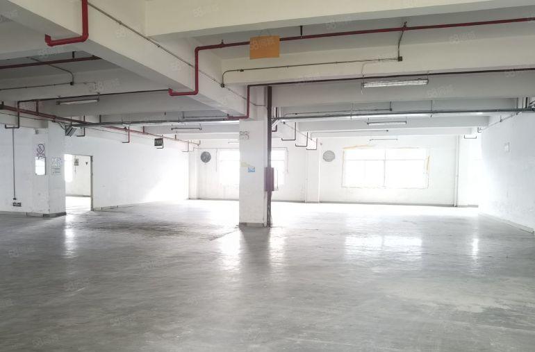 龙岗宝龙同乐工业区红本厂房仓库1200平可分租可办环评易招工