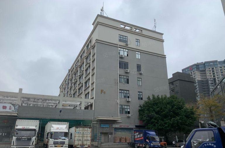 坂田五和大道旁新出楼上整层精装2000平方厂房出租。