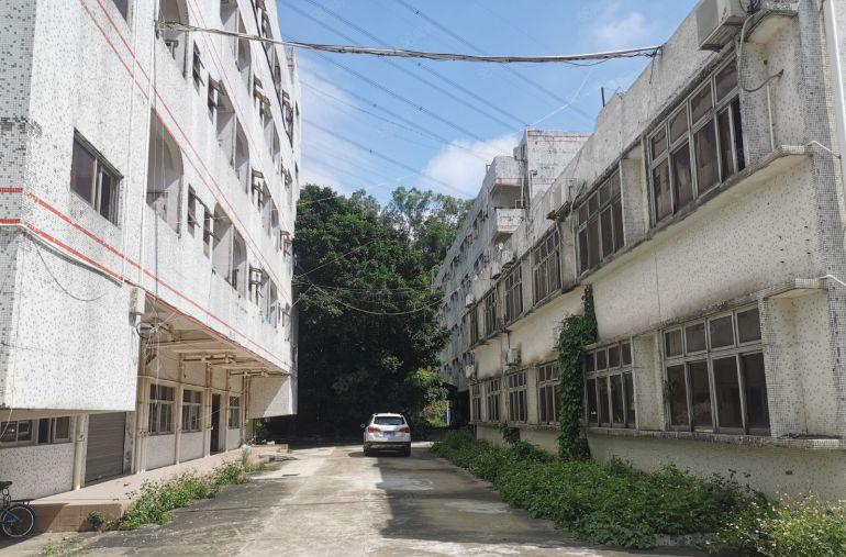 横岗地铁站附近新空出独门独院厂房5.2万平左右大小分租