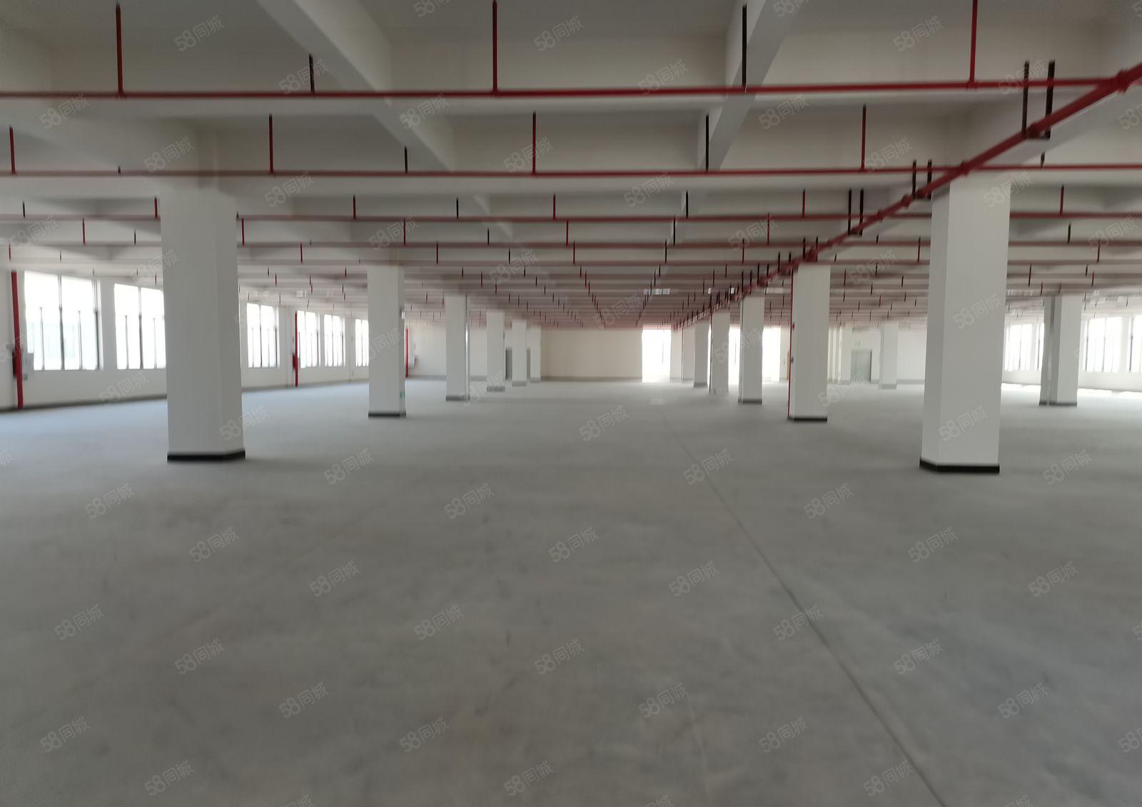 25元起平湖清平高速出口工业园6000平独门独院厂房出租可分