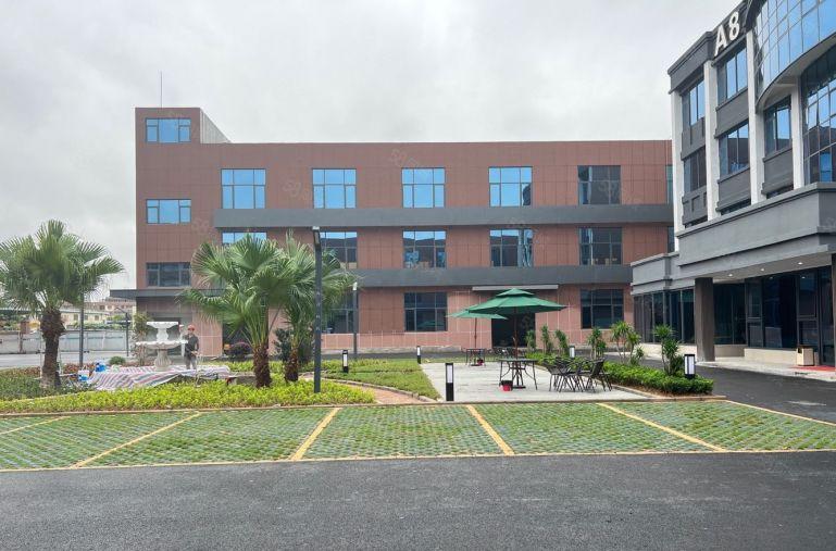 横岗六约全新产业园500平1000平分租空地超大靠近主干道！