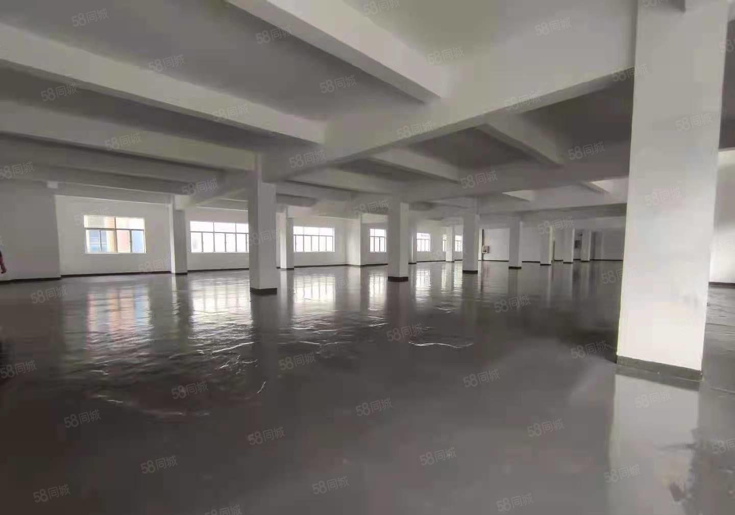 龙岗独门独院厂房出租6500平共8套坪地同乐坪山20元一平