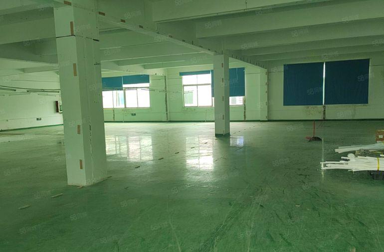 平湖辅城坳标准一楼600平方厂房仓库招租