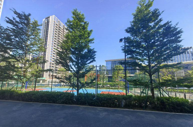 免租24个月横岗荷坳全新红本厂房单层面积1500平方低价出租